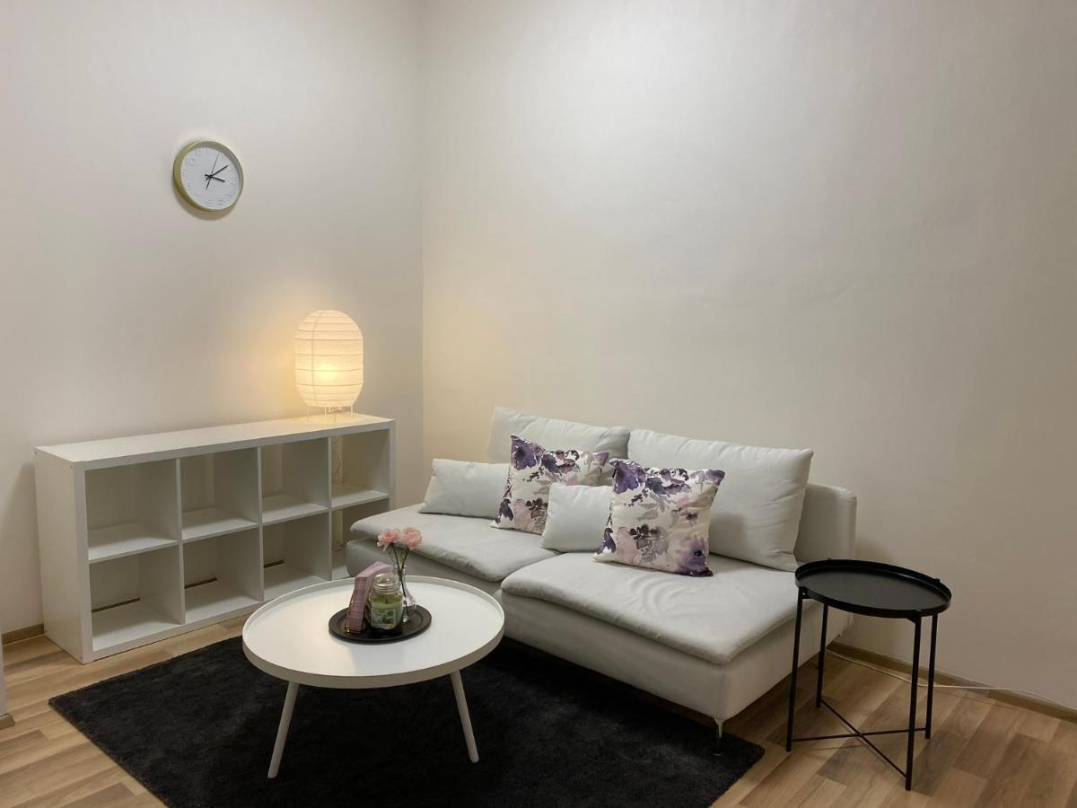 Spacious Apartment On Wenceslas Square 布拉格 外观 照片
