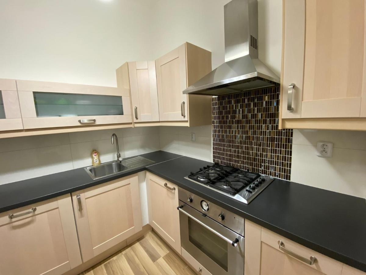 Spacious Apartment On Wenceslas Square 布拉格 外观 照片