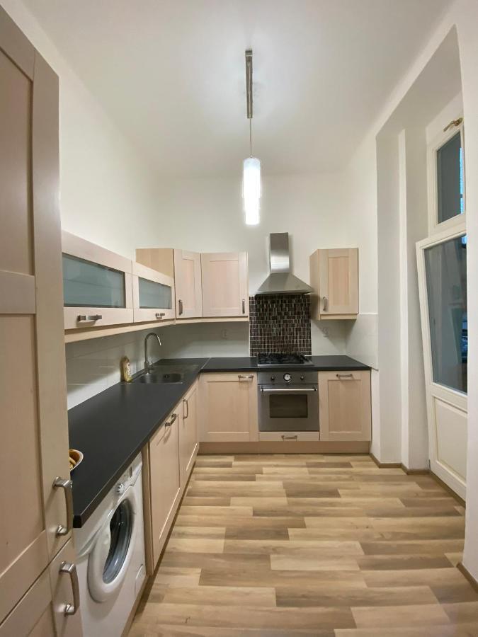 Spacious Apartment On Wenceslas Square 布拉格 外观 照片
